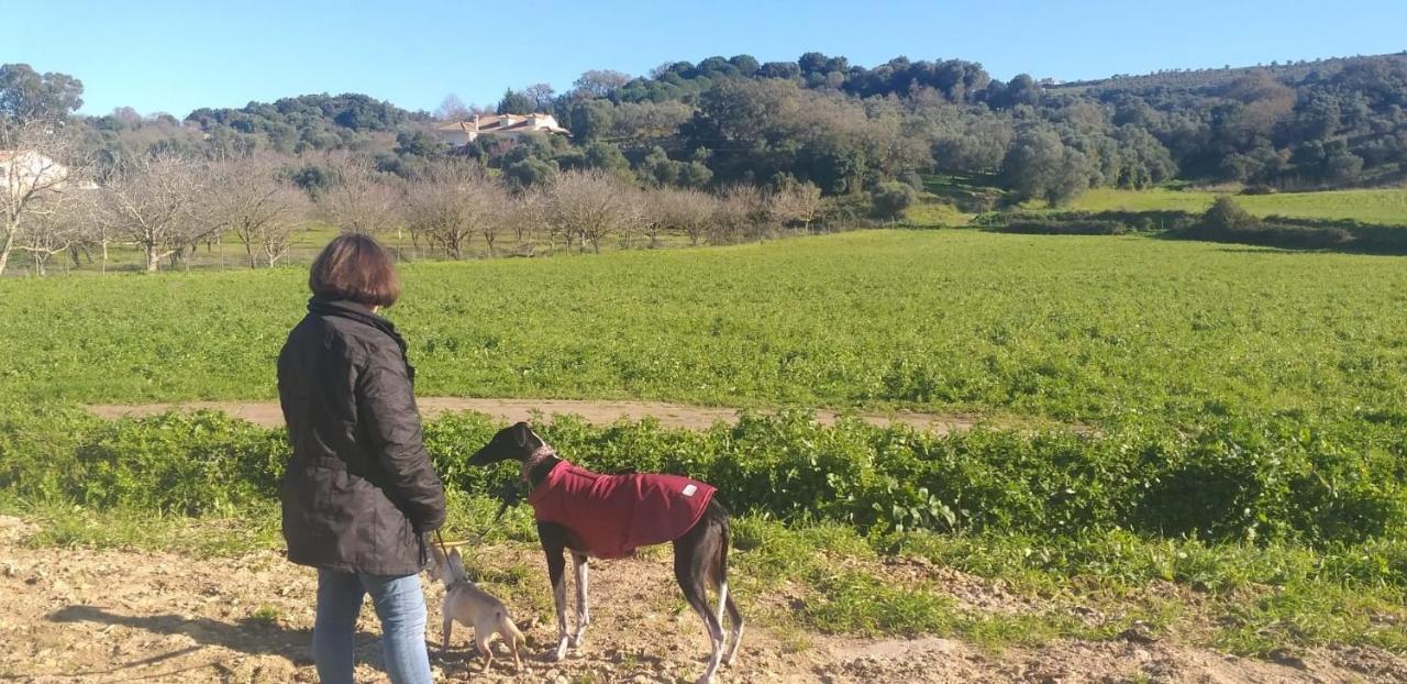 Pateo Da Memoria-Casa Do Artesao Villa Quinta do Anjo Dış mekan fotoğraf