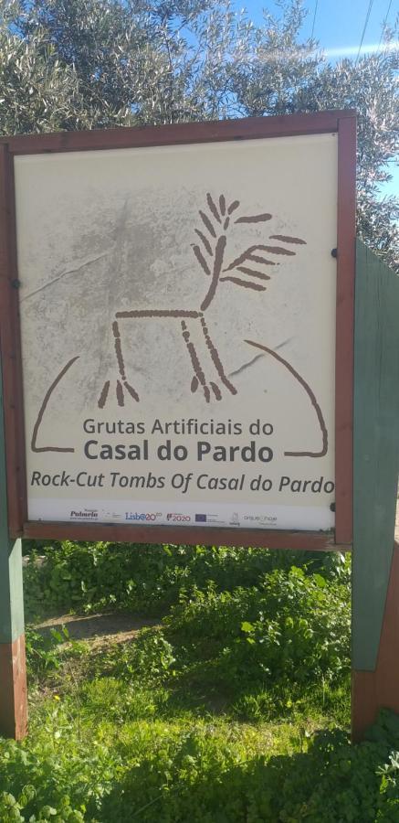 Pateo Da Memoria-Casa Do Artesao Villa Quinta do Anjo Dış mekan fotoğraf