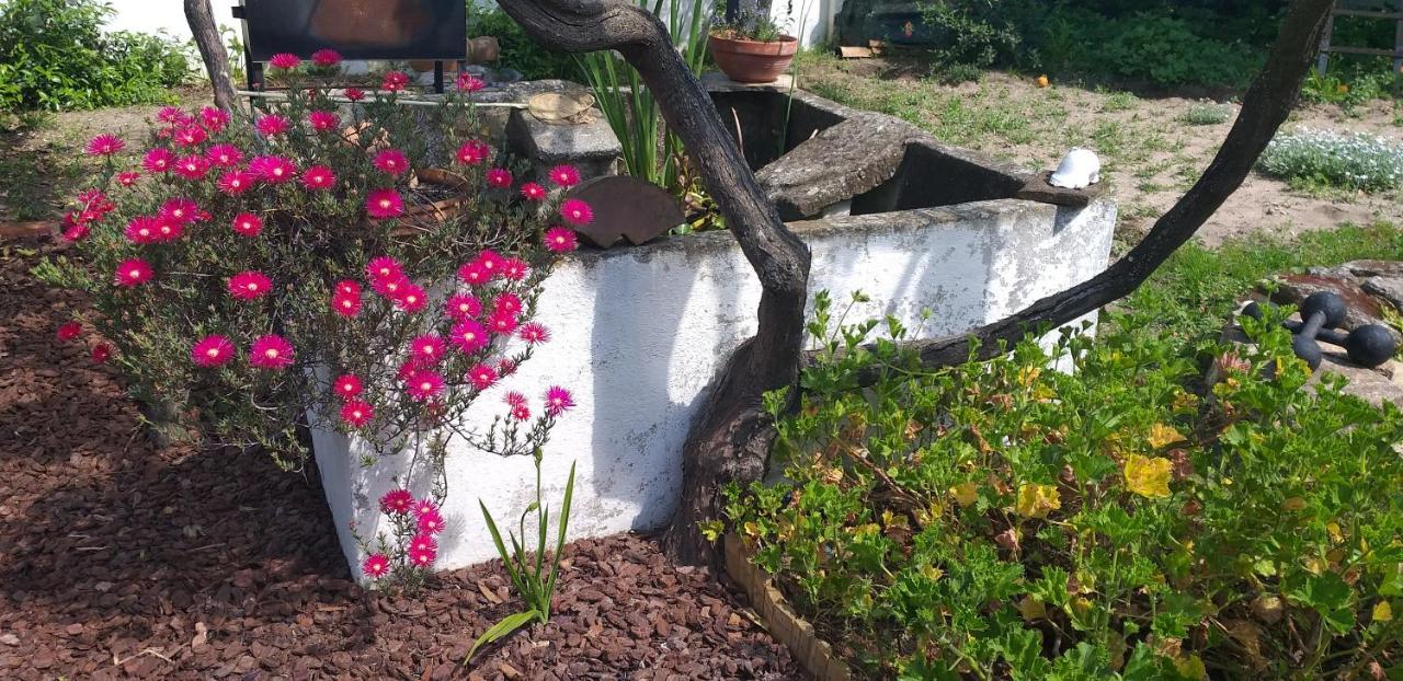 Pateo Da Memoria-Casa Do Artesao Villa Quinta do Anjo Dış mekan fotoğraf